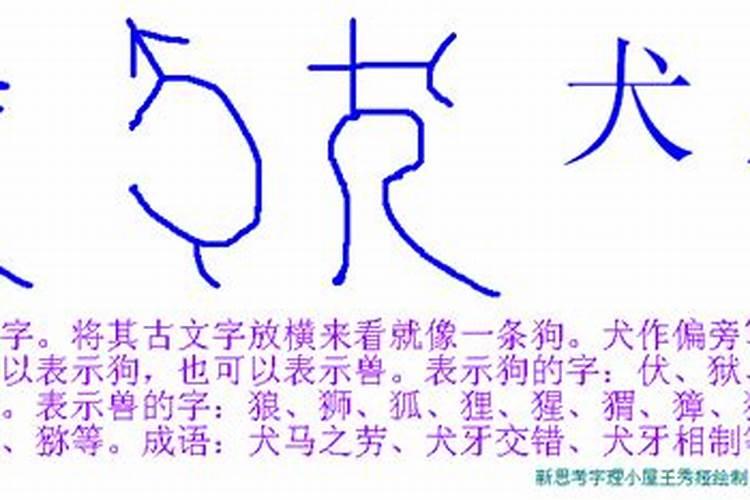 八字打一动物