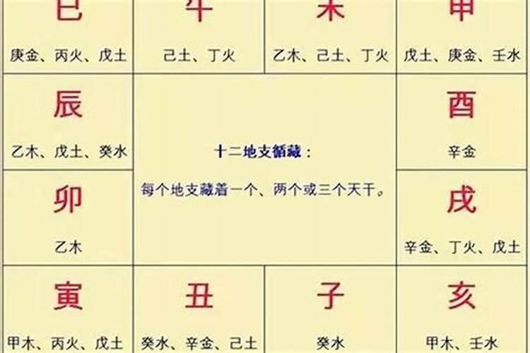 八字表示啥生肖