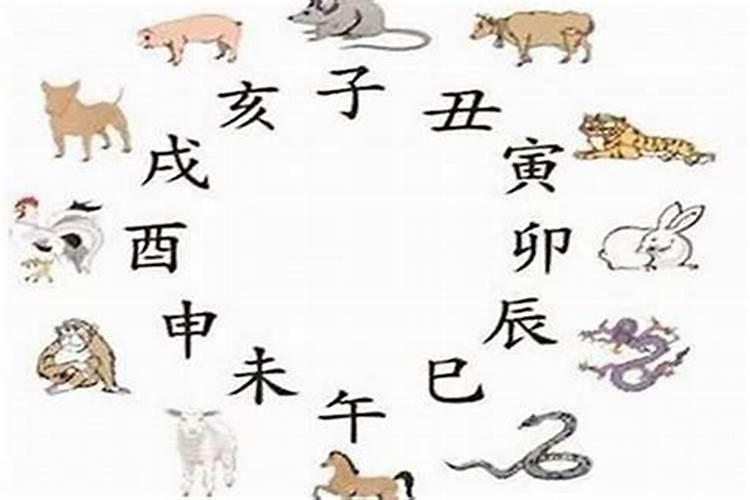 子午相冲会出什么生肖和数字