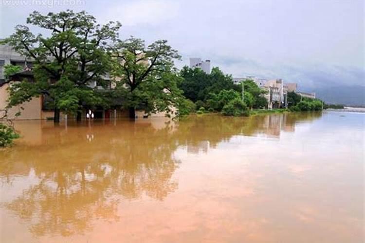 梦到发洪水,水很清