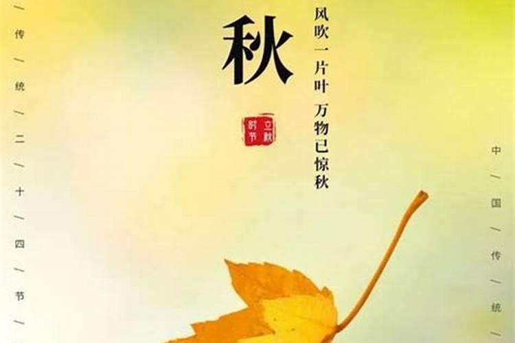 立秋24节气的第几个节气是什么意思