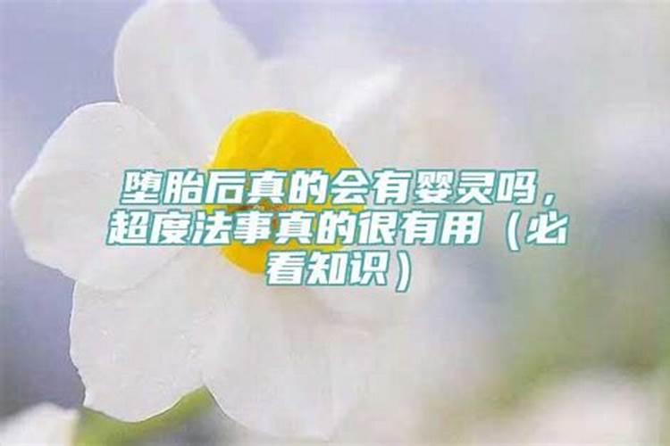 梦见怪兽是什么征兆