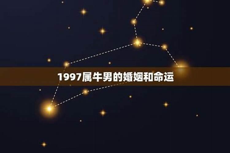 1997年出生的属牛男运程