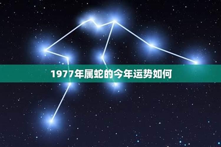 1977属蛇今年的运程