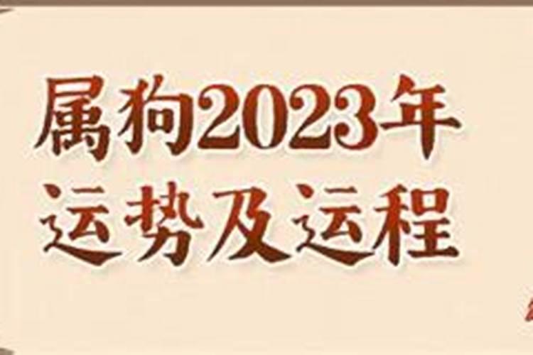 男命生肖狗2023年运程详解