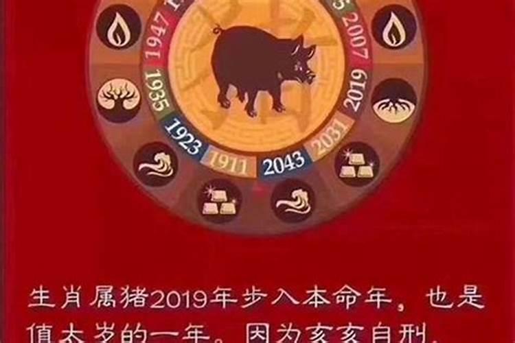 2019年都什么属相犯太岁