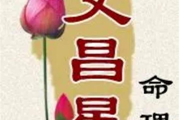 运气不好家里放什么植物好养