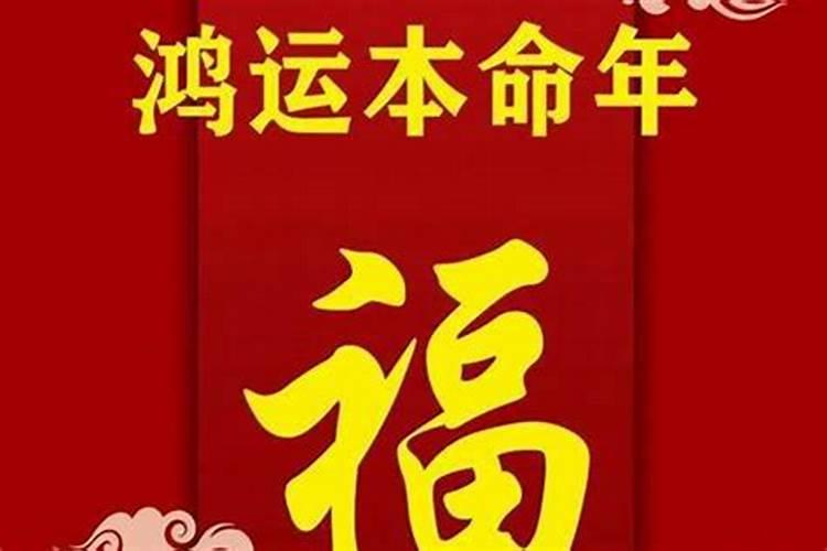 属马人在2023年运势怎么样呢