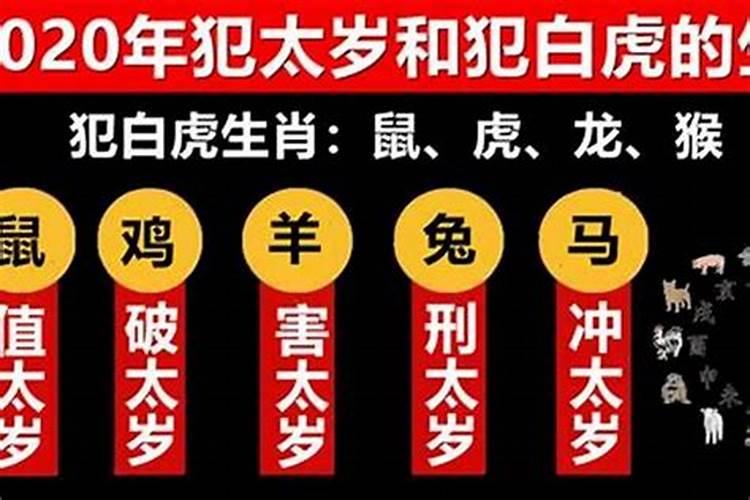 犯太岁的四个属相2022年