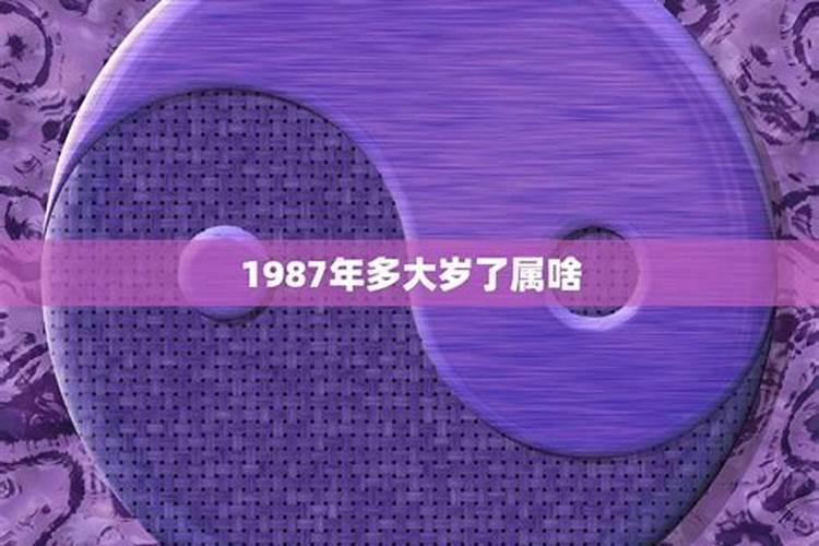 1987年属什么生肖多大岁数