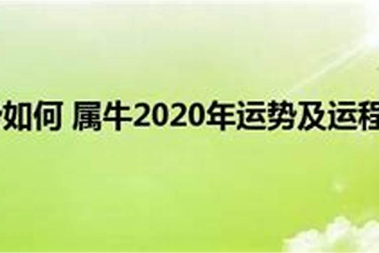 49年属牛2023年的运程