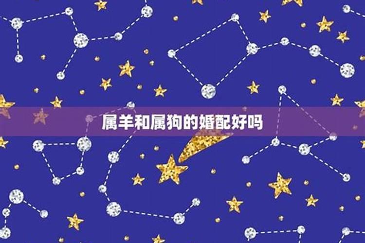 属鸡的2022年适合结婚的日子是什么时候