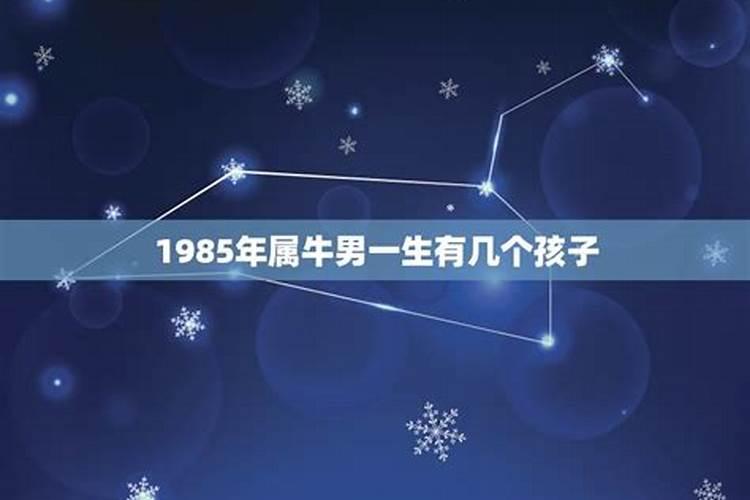 1985属牛男一生命运如何