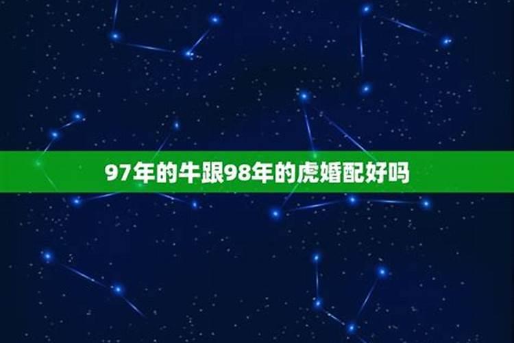 梦到被猫狠狠咬住不放什么意思