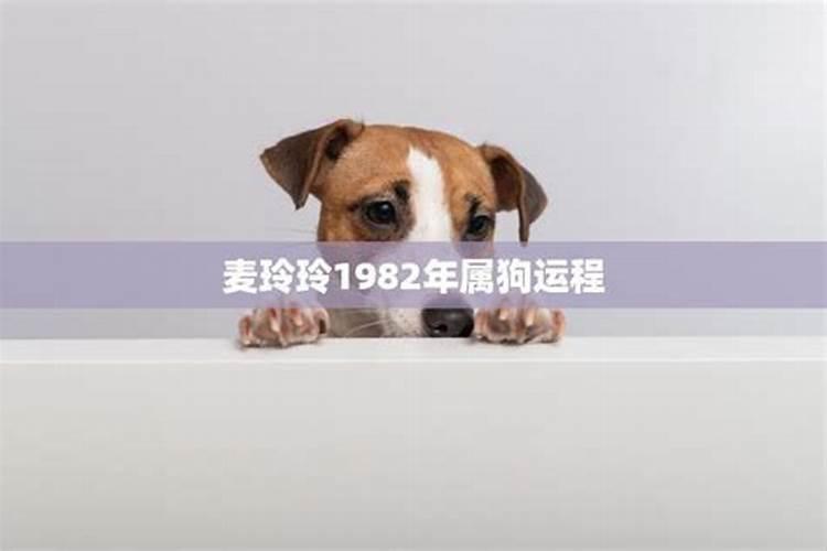 2023年农历12月属狗运程如何