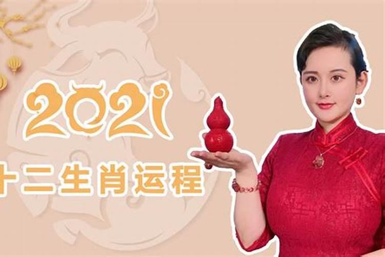 属羊2021冲太岁是什么意思呀