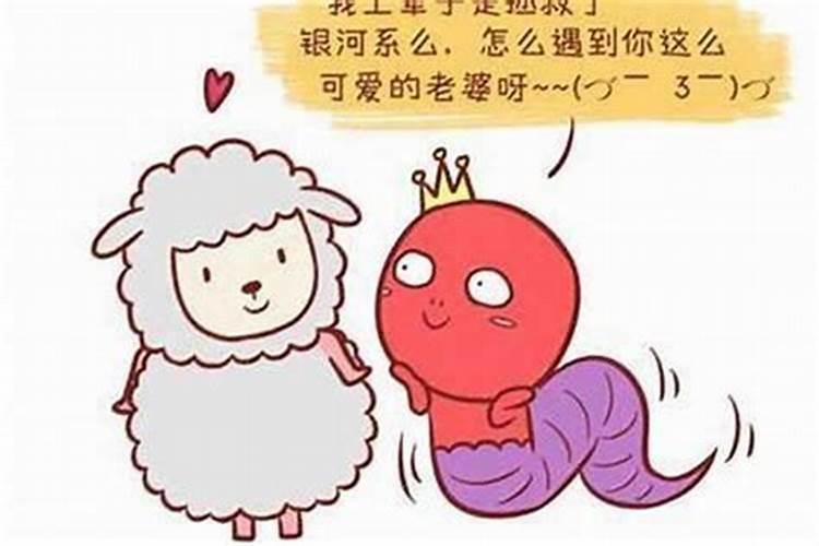 属羊和属蛇合不合做夫妻