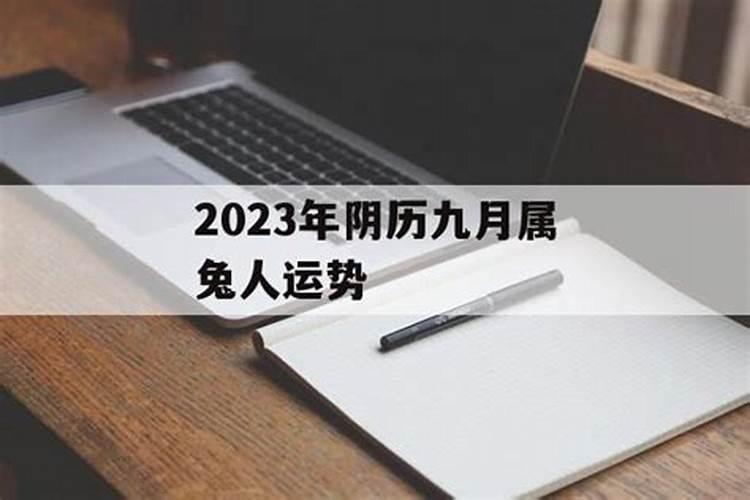 属兔人2023农历运势如何