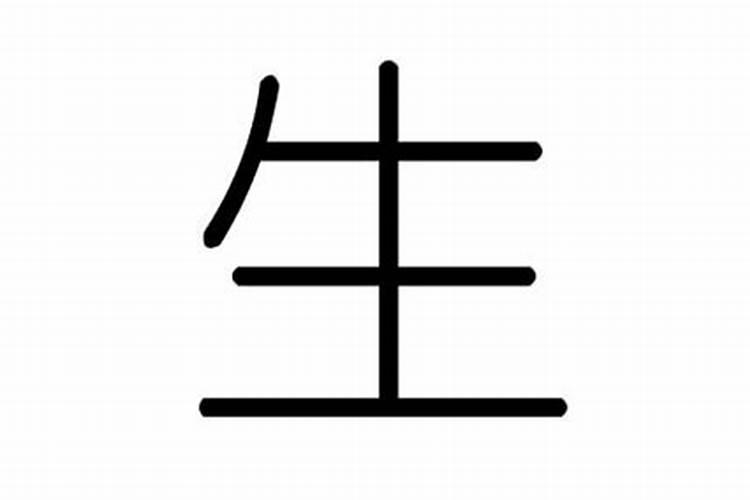 生字五行属性什么