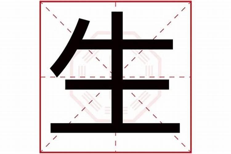 生字五行属什么名字