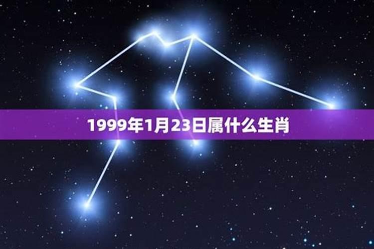 20211月23号是属什么