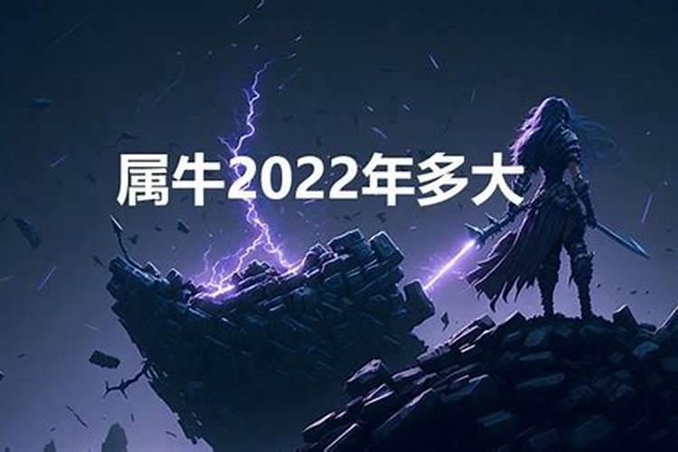 属牛今年多大2023