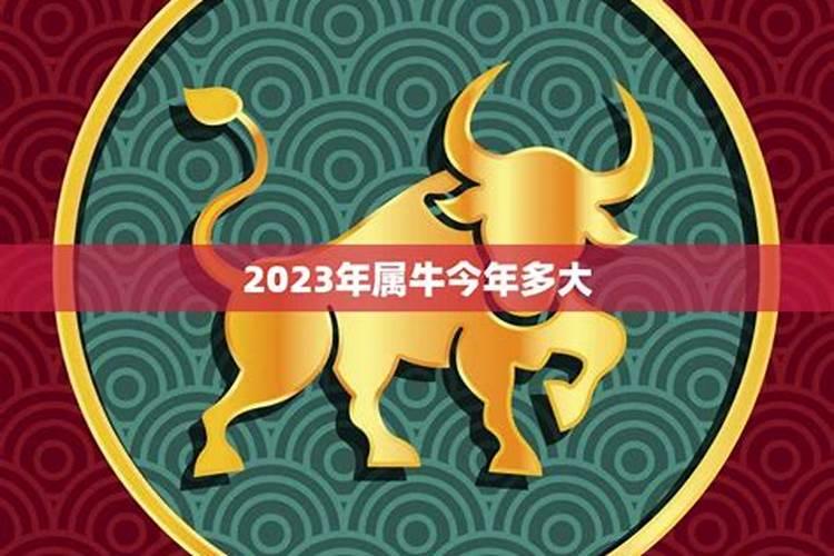 属牛今年多大年龄2023