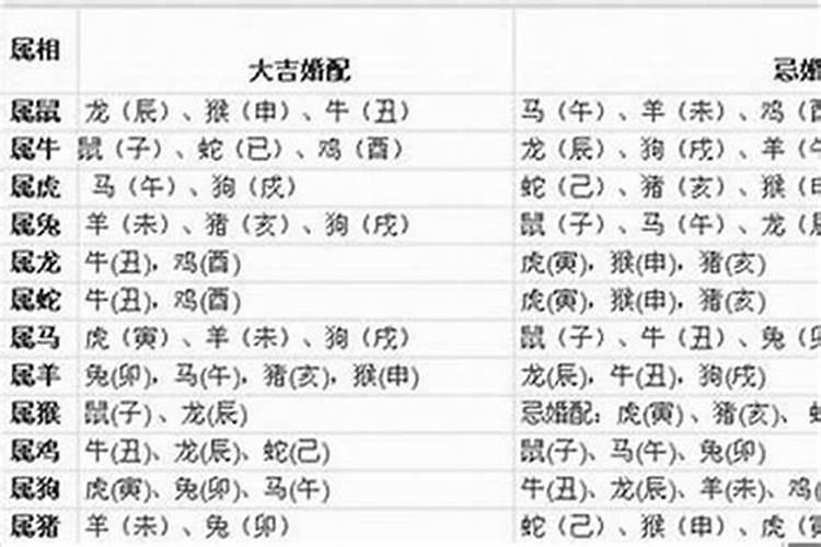 今年属虎人的运势怎么样2023年运程