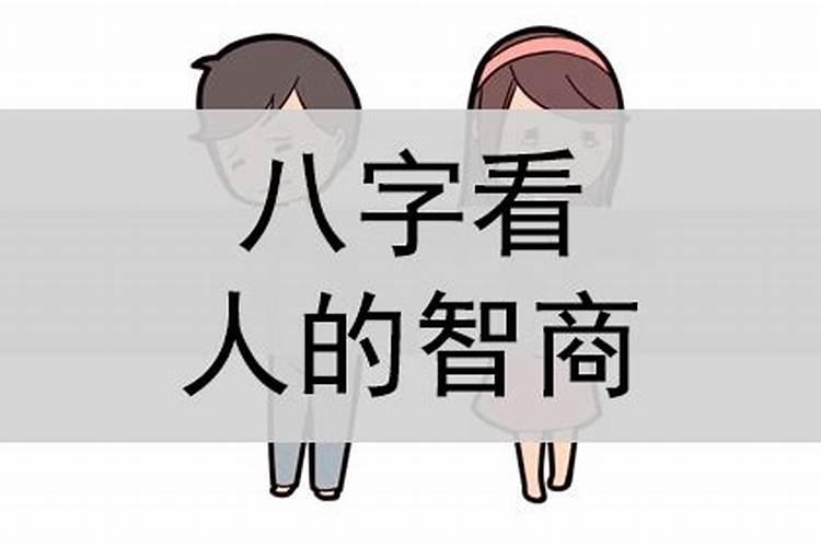 八字怎样看智商低的人