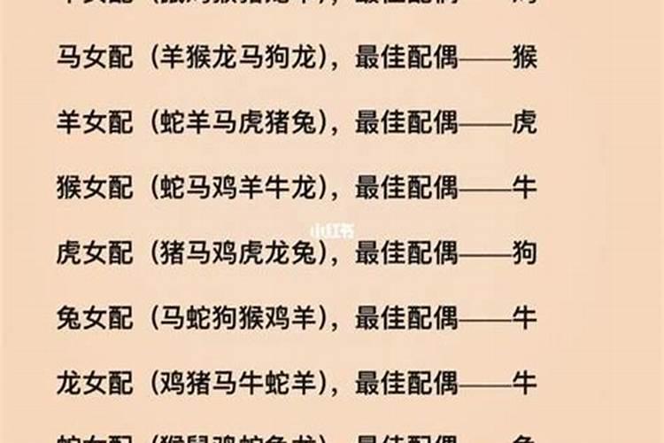 梦见电动车被偷走预示什么解梦