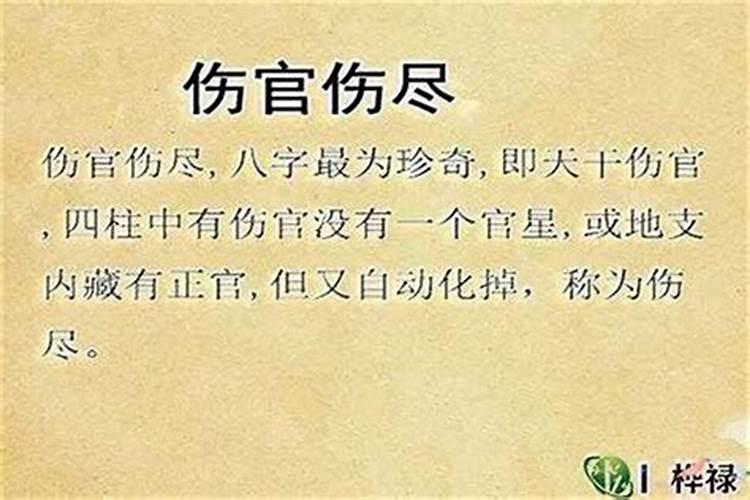 怎么看一个人八字有没有伤官