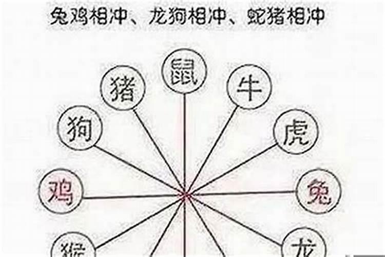 鼠年相冲的生肖要注意什么