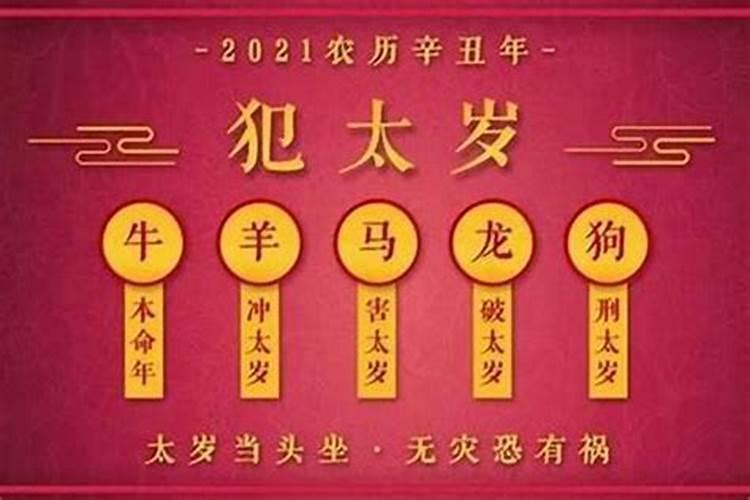 属猪2021佩戴什么吉祥物好