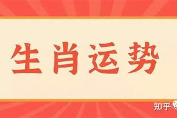 7月份十二生肖运势2023年运势查询