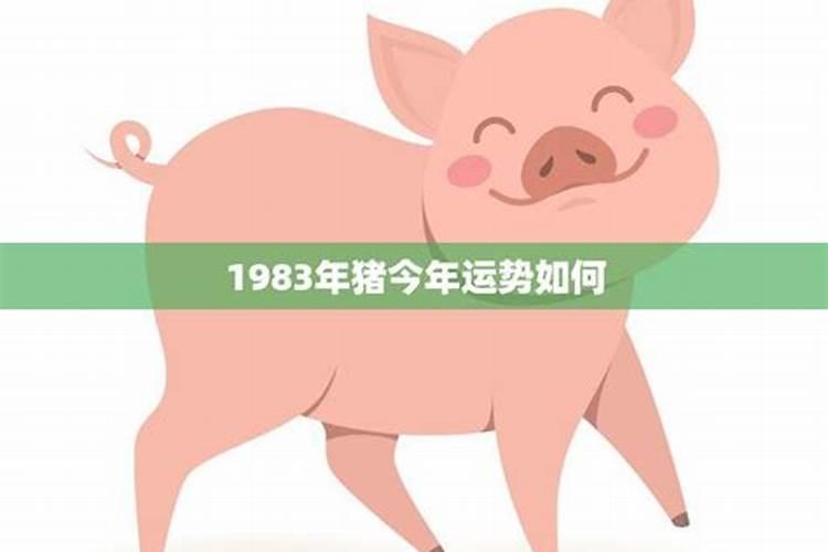 1983年今年运势属猪2021年运势男