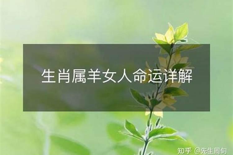 做梦梦见在看鬼片啥寓意