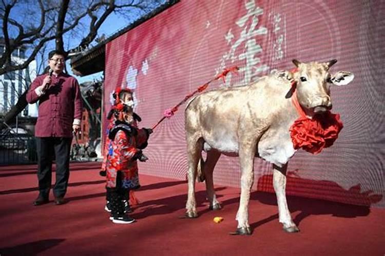 自己用什么方法补财库最好