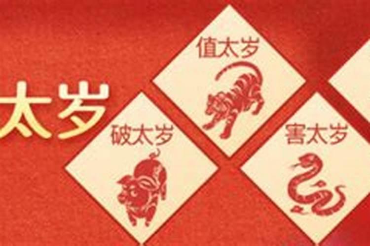 属狗的人今年5月到8月