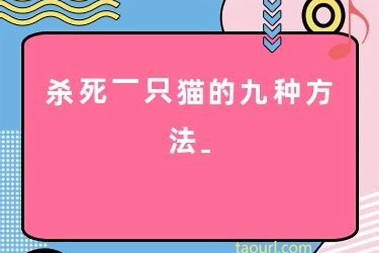 碰见邻居小人怎么整治他们家人