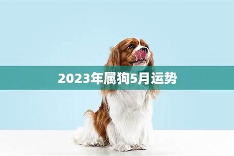 2023年属狗五月份运势如何