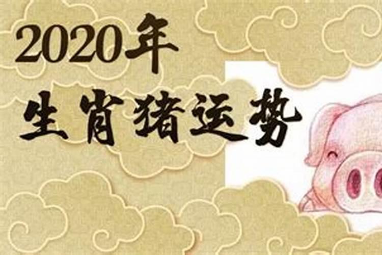 算命2019年运势