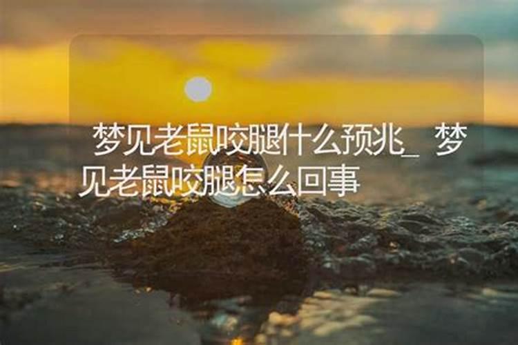 梦见红马是什么意思呢周公解梦