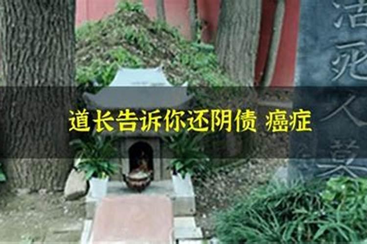 羊跟马合不合得来