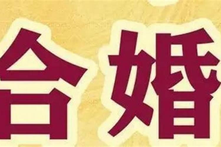 六害合婚是什么意思呀