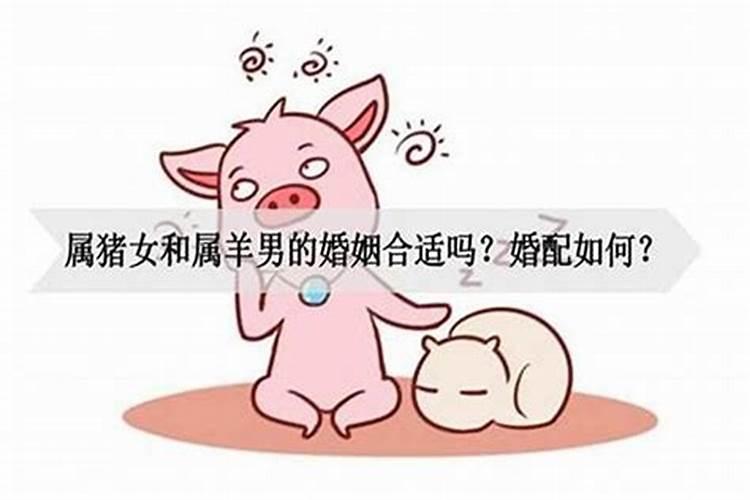 男猪女狗婚配的婚姻如何