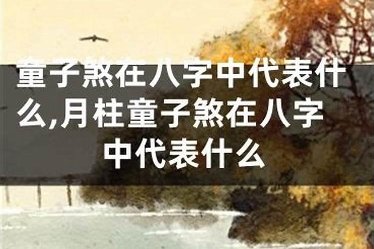 八字中有驿马什么意思