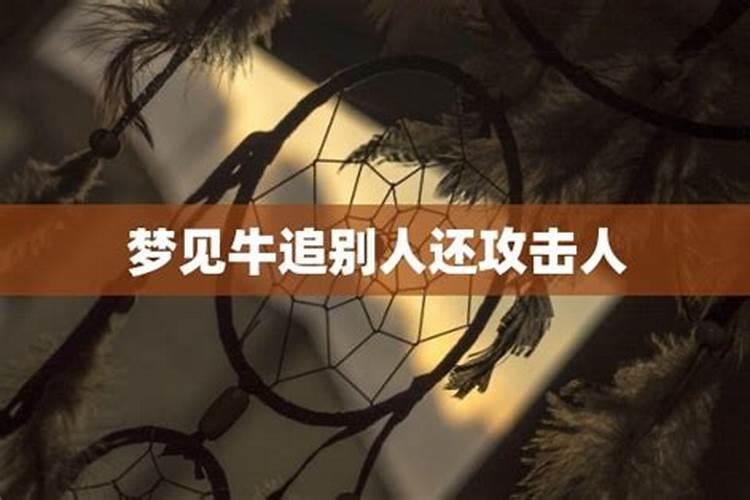 梦见牛追着人攻击人群