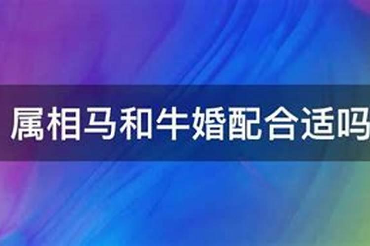 03年属羊人2021年运势及运程