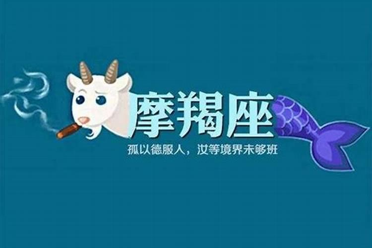 属羊今年多大年龄表2022