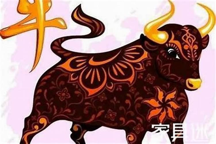 属猪遇牛年2023运势怎么样